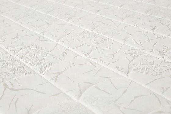 ���� ����� ������ ������ ���� ������