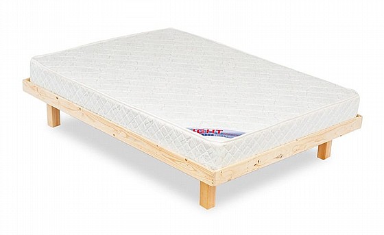 ���� ����� ������ ������ ���� ������