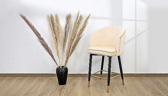 ��� �� ����� ����� ��� ������ 