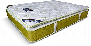 ���� ���� ��� ������ ���� Twins Design