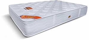 ���� ���� ��� ���� ���� Twins Design