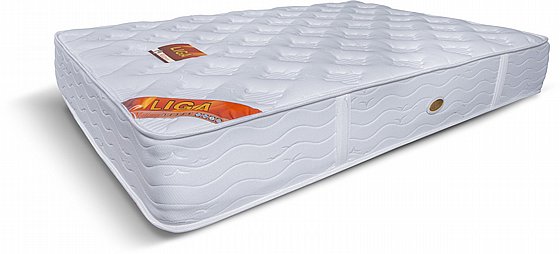 ���� ���� ���� ��� ���� ���� Twins Design