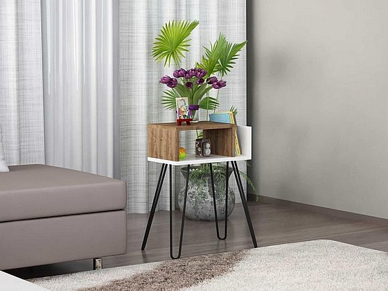 ����� �� ���� HOMAX ��� ������ DE4828