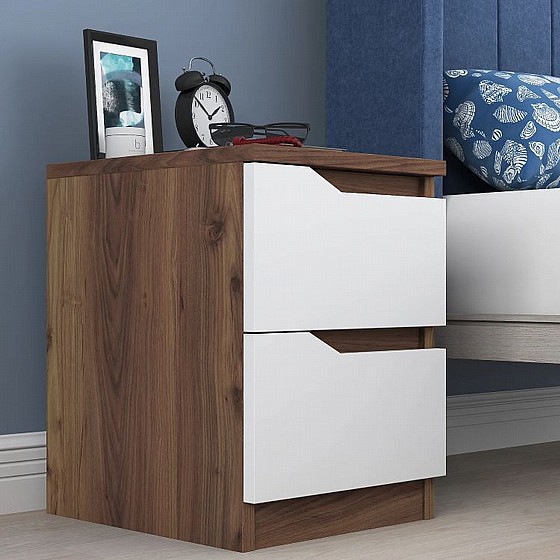 ���� ���� 2 ������ ��� 1883 ���� Twins Design