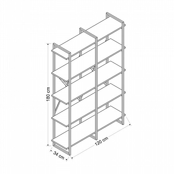 ������ ����� ������ ����� ���� ������ �� ���� ��� ROMA ����