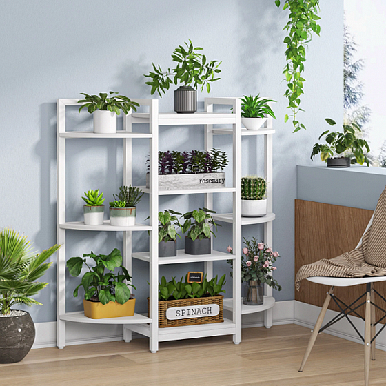 ����� ������ ��� ���� ���� Twins Design