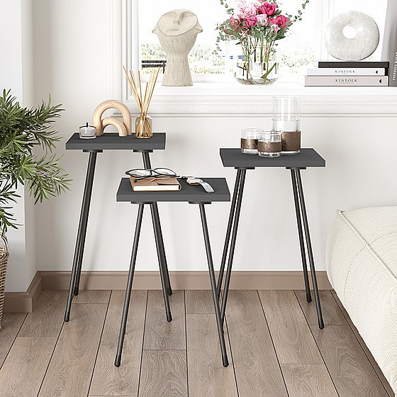 ����� ��� 3 ������ �� ���� ���� ������ ����� ������ ��� Milly ���� Twins Design