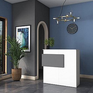 דלפק קבלה מעוצב דגם מאוס מבית Twins Design דלפק קבלה מעוצב דגם מאוס מבית Twins Design