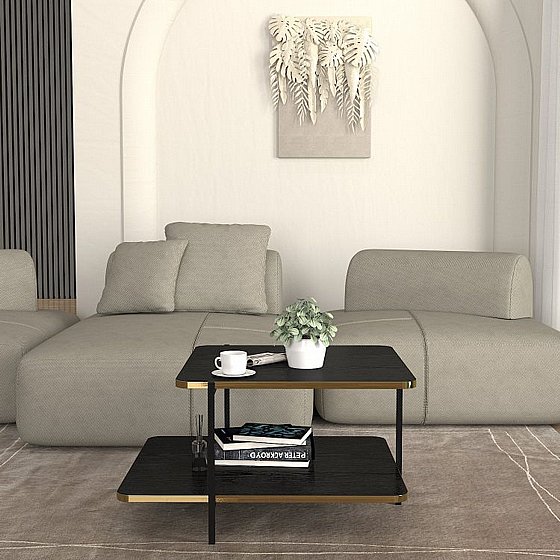 ����� ���� ��� "����" ����� Obsidian - ����� ������� �� ������ ���������� ���� Twins Design