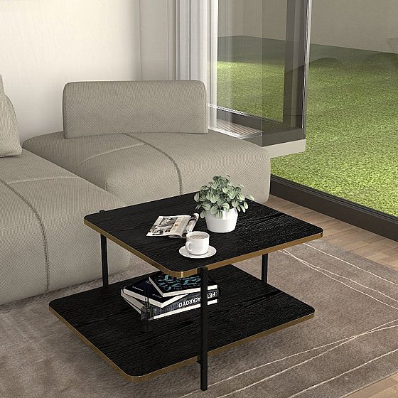 ����� ���� ��� "����" ����� Obsidian - ����� ������� �� ������ ���������� ���� Twins Design