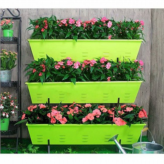 ���� 3 ������ ������ ����� Home Town