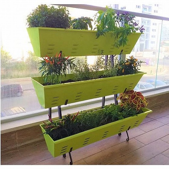 ���� 3 ������ ������ ����� Home Town