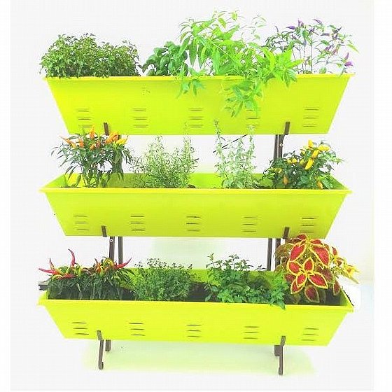 ���� 3 ������ ������ ����� Home Town