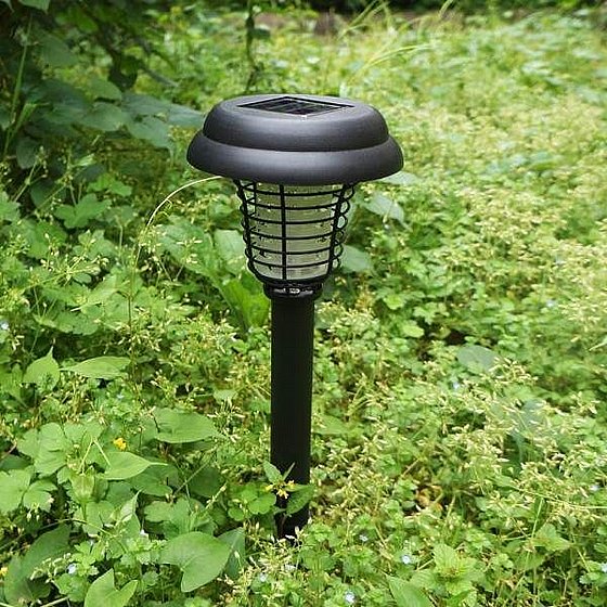 ����� ���� ������� �� �����  JN.HOLDINGS LTD �.� ������ ���