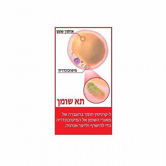 �-������� ����� SAN ��� ������� LIQUID L-CARNITINE