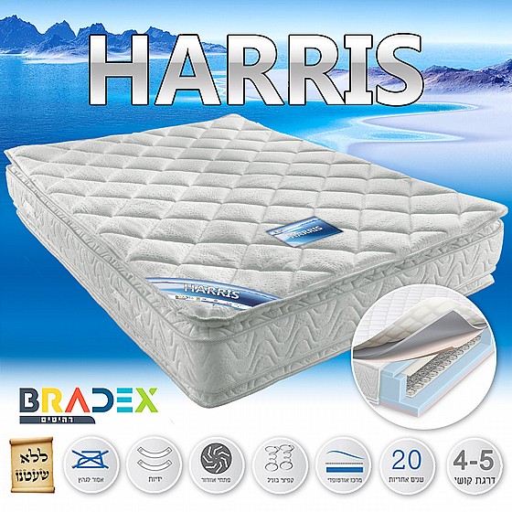 BRADEX ���� ���� ���� ��� - ���� ����� DION ���� ���� ������ ����� 140*190