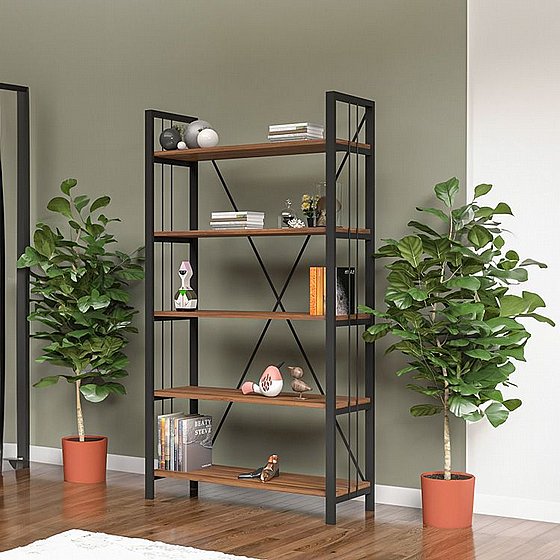 ��� WALNUT  �� 45 ��� ����� 