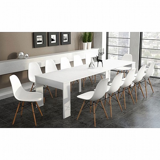 ����� ������� ������� ���� �� 3 ����� BRADEX ���  DOMINIC