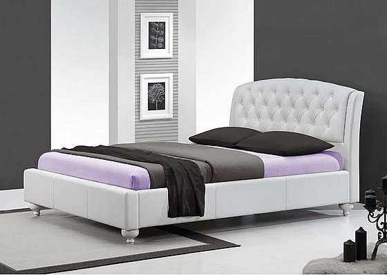 ���� ����� ���� ���� ����� ��� CAMELIA