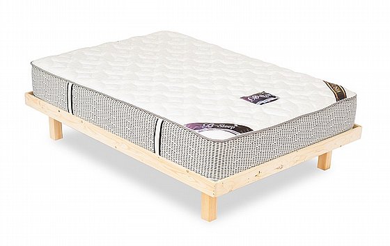 ����� ���� �������� Panda Style ��� B-SLEEP PLUS �����